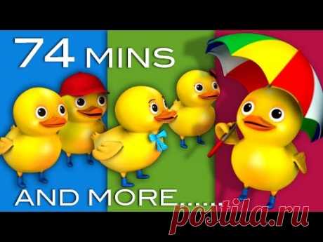 Five Little Ducks | Plus Lots More Children's Songs | 74 Minutes Compilation from LittleBabyBum!
