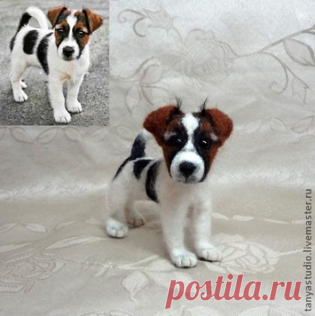 Скульптура щенка породы Джек Рассел - войлочная скульптура,
Скульптурный портрет собак любой породы сделаю по фото заказчика из 100% шерсти меринос методом сухого валяния. Скульптура выполнена на проволочном каркасе.
В своих работах я стараюсь добиться максимума реалистичности и схожести.
