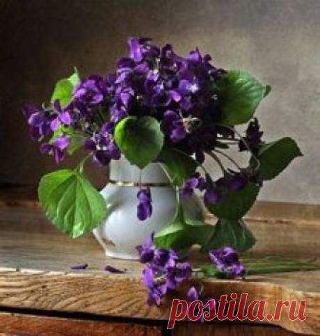 Violet