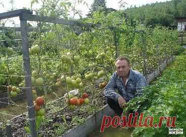 (79) Одноклассники