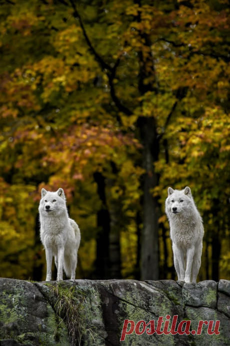 wonders of the world