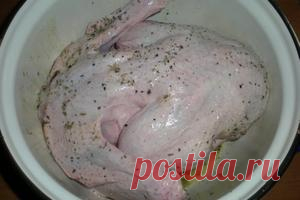 Как замариновать утку? - Рецепты кулинарии