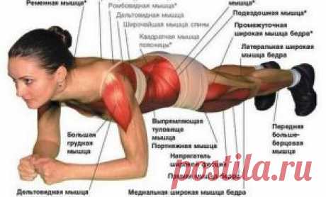 Упражнение планка – лучшая тренировка для всего тела