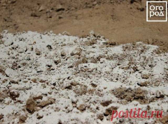 Что внести в почву осенью, чтобы повысить ее плодородие | Почва и плодородие (Огород.ru)