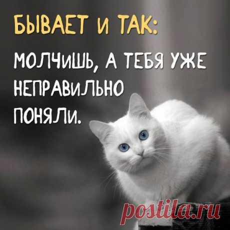 Nina: Как бы ни была жестока к человеку судьба, как бы он ни был покинут и одинок, всегда найдется сердце, пусть неведомое ему, но открытое, чтобы отозваться на зов его сердца...
