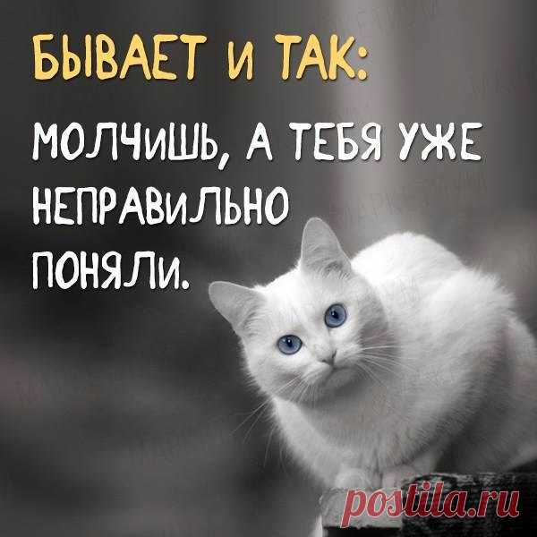 Nina: Как бы ни была жестока к человеку судьба, как бы он ни был покинут и одинок, всегда найдется сердце, пусть неведомое ему, но открытое, чтобы отозваться на зов его сердца...