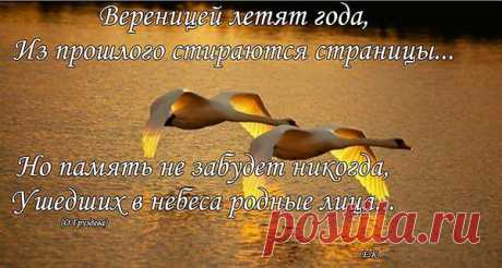 Детство и юность, когда это было?
Годы умчались, их сдали в архив.
В стопках на полках, где время застыло
Память копается, что-то забыв.
Годы как птицы, как сон пролетели,
В брызги рассыпались, в звездную пыль.
Только что в юность летели качели,
Я оглянулась, а след их простыл.
Запахи Родины мысли дурманят,
До горизонта равнины шумят.
Поле в ромашках и ягодах манит,
Часто во сне слышу их аромат.
Ландышей море накатит украдкой,
Прячутся в ельнике в тени густой.
