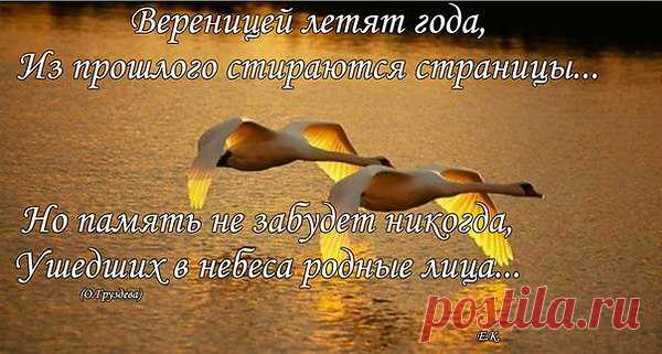 Детство и юность, когда это было?
Годы умчались, их сдали в архив.
В стопках на полках, где время застыло
Память копается, что-то забыв.
Годы как птицы, как сон пролетели,
В брызги рассыпались, в звездную пыль.
Только что в юность летели качели,
Я оглянулась, а след их простыл.
Запахи Родины мысли дурманят,
До горизонта равнины шумят.
Поле в ромашках и ягодах манит,
Часто во сне слышу их аромат.
Ландышей море накатит украдкой,
Прячутся в ельнике в тени густой.