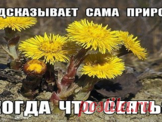 Худеем за 25 минут в день по голливудской системе. Самые эффективные упражнения! — Копилочка полезных советов
