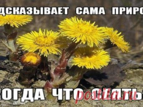Худеем за 25 минут в день по голливудской системе. Самые эффективные упражнения! — Копилочка полезных советов