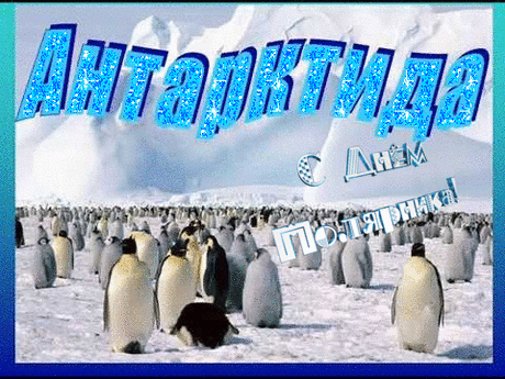 С Днем полярника России!
