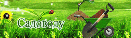 Когда нельзя сажать и сеять - советы и приметы » Женский Мир