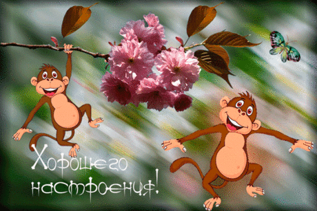 ЧИТА-ДРИТА.......