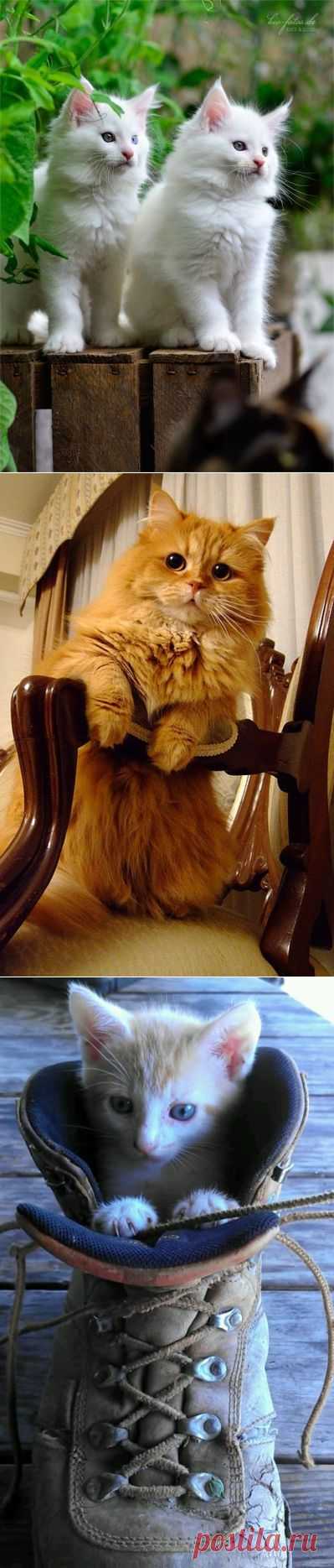 06/30/13 ~ Lovely Cool Photo of the Day  РУБРИКА