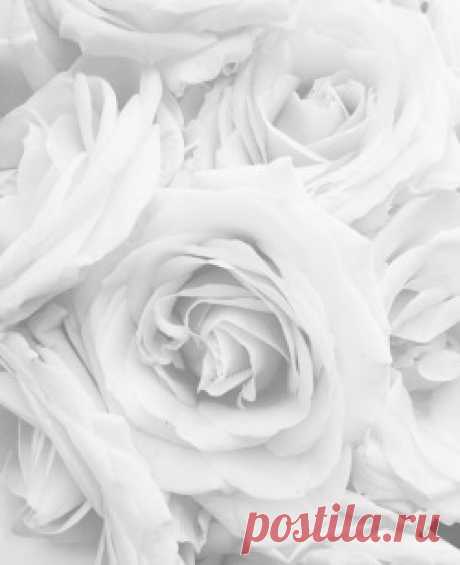love minimal style