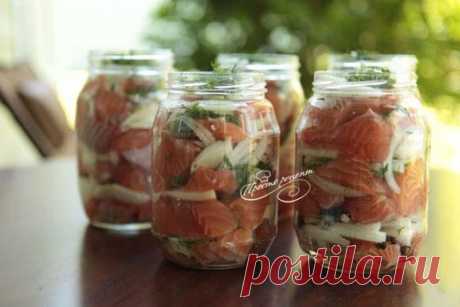 🍴 Домашние консервы из рыбы - рецепт с фото. Как приготовить на Prosto-recept.com