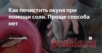 Как почистить окуня при помощи соли. Проще способа нет Не известно почему, но про этот способ чистки рыбы все забыли, а он был популярен у рыболовов прошлых столетий, ведь его простота поражает.
Зачем столько мучились хозяйки, больно ранив пальца об острые плавники окунишек и, ругались на чем свет стоит, удаляя ножом, мелкую чешую. А после пол дня отмывали кухню от разлетевшейся во все стороны чешуи.
Есть наипростейший способ, который позволяет очисти