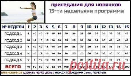 В ЧЕМ ПОЛЬЗА ПРИСЕДАНИЙ? 
1. Приседания прорабатывают самые крупные мышцы тела. В работу включаются все мышцы ног и спины.
2. Для занимающихся силовым спортом, приседания одно из главных упражнений для развития силы и массы мышц всего тела.
3. Приседания с правильной техникой укрепляют мышцы спины и формируют правильную осанку.
4. Приседания улучшают кровообращение в области таза, стимулируют и усиливают обмен веществ.
5. Укрепляя мышцы ног, вы становитесь активнее и подвижнее.