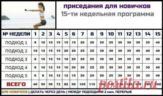 В ЧЕМ ПОЛЬЗА ПРИСЕДАНИЙ? 
1. Приседания прорабатывают самые крупные мышцы тела. В работу включаются все мышцы ног и спины.
2. Для занимающихся силовым спортом, приседания одно из главных упражнений для развития силы и массы мышц всего тела.
3. Приседания с правильной техникой укрепляют мышцы спины и формируют правильную осанку.
4. Приседания улучшают кровообращение в области таза, стимулируют и усиливают обмен веществ.
5. Укрепляя мышцы ног, вы становитесь активнее и подвижнее.