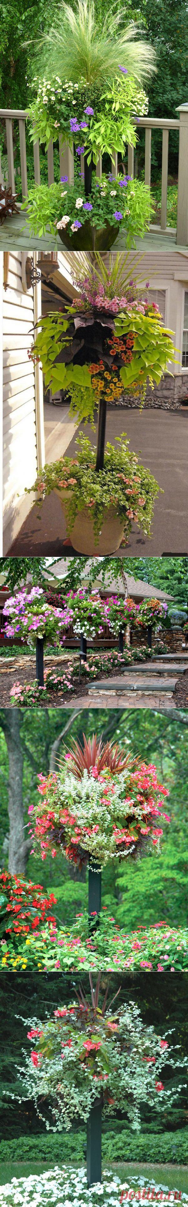 Контейнерные сады Памелы Кроуфорд | Самоцветик