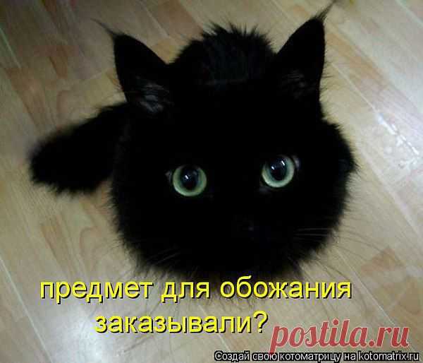 Интересные новости