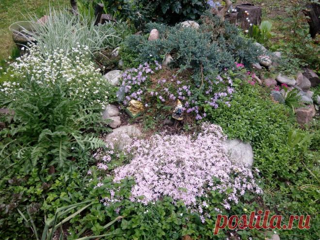 Альпийская горка.