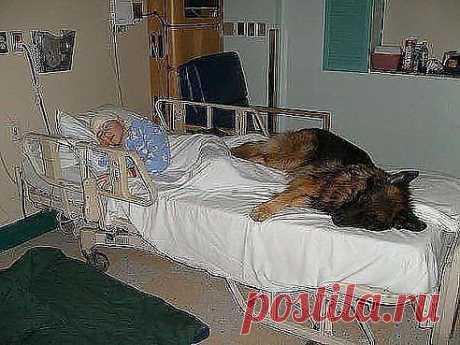 (62) Одноклассники
