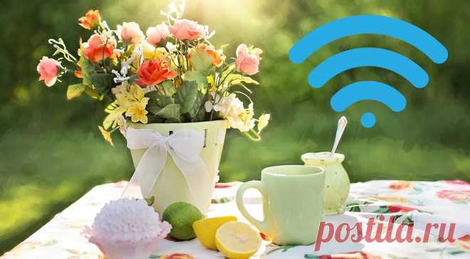 Wi-Fi на даче: как настроить интернет на открытом воздухе Организовав Wi-Fi у себя на участке, вы сможете сидеть в соцсетях, слушать подкасты или смотреть , а также управлять камерами наружного наблюдения и поливальными системами. Рассказываем, как развернуть сеть на даче без лишних усилий.