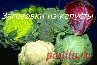 ***ЗАГОТОВКИ НА ЗИМУ***