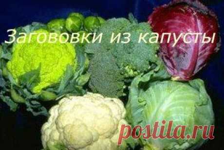 ***ЗАГОТОВКИ НА ЗИМУ***