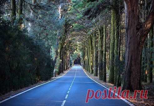 Дорога на острове Тенерифе, Канарские острова, Испания.