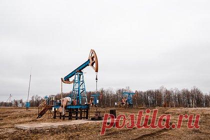 Нефтяной конкурент России решил сократить добычу. С 1 января 2024 года Казахстан снизит добычу нефти. Причиной этого шага стала неопределенность на ресурсном рынке, заявило Минэнерго нефтяного конкурента России. По итогам встреч ОПЕК+, обязательства республики по добыче в первом квартале 2024-го составят 1,468 миллиона баррелей в сутки.
