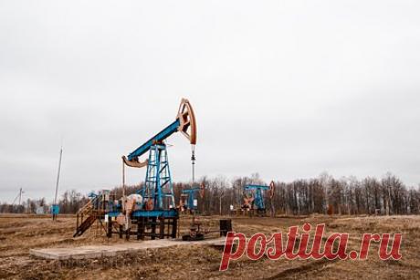 Нефтяной конкурент России решил сократить добычу. С 1 января 2024 года Казахстан снизит добычу нефти. Причиной этого шага стала неопределенность на ресурсном рынке, заявило Минэнерго нефтяного конкурента России. По итогам встреч ОПЕК+, обязательства республики по добыче в первом квартале 2024-го составят 1,468 миллиона баррелей в сутки.