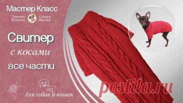 Как связать спицами жилетку для собаки, knitting vest for dogs
