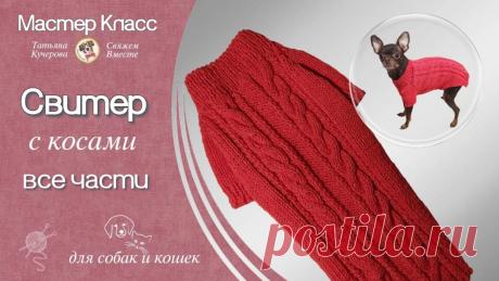 Как связать спицами жилетку для собаки, knitting vest for dogs