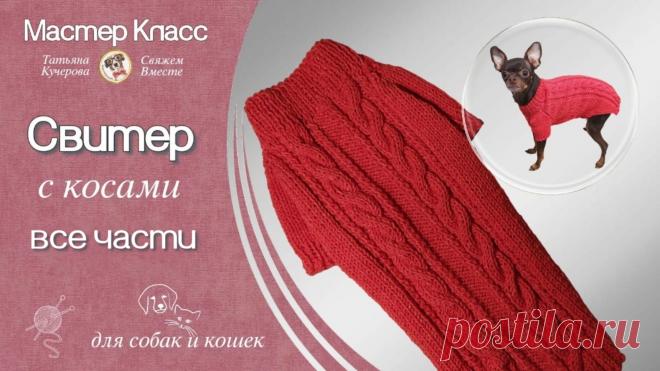 Как связать спицами жилетку для собаки, knitting vest for dogs