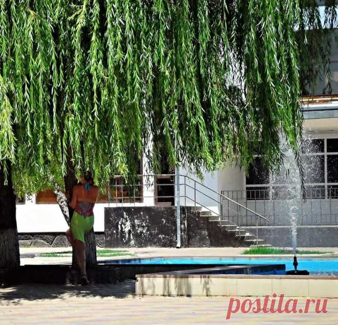 Человек с фотоаппаратом, в жаркий день - 6 Ноября 2015 - Персональный сайт