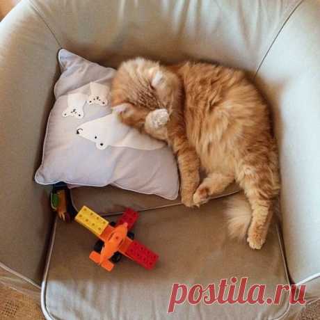 (1001) Pinterest
