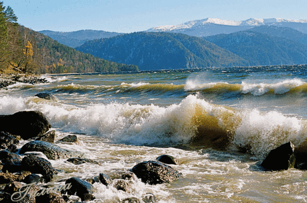 Фото Без названия. Альбом w - 9 фото. Фотографии ГИЛ ..