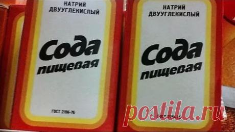 ДРОЖЖИ, СОДА И ГОРЧИЦА - ДРУЗЬЯ ОГОРОДА