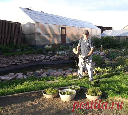 Записки старого ворчуна