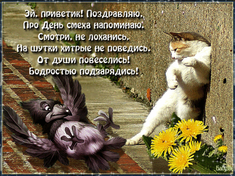 orig_f0af204466613cfd25d92ea3e9c39b0e.gif (640×480)