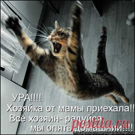 Мысли вслух