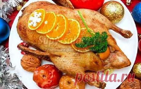 Как приготовить утку с яблоками: самые вкусные рецепты с фото