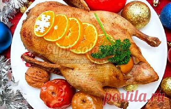 Как приготовить утку с яблоками: самые вкусные рецепты с фото