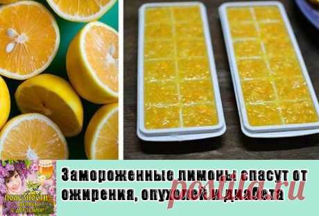 Замороженные лимоны спасут от ожирения, опухолей и диабета!
Лимоны замораживают в основном ради цедры. После размораживания цедра становится более мягкой и ее удобнее употреблять в пищу.
Как и у большинства других фруктов, в кожице лимона сконцентрирован максимум питательных веществ, помогающих регулировать уровень холестерина, укреплять иммунную систему и предотвращать рак. В ней также содержатся антимикробные, антигрибковые и антибактериальные вещества.
Регулярное употре...