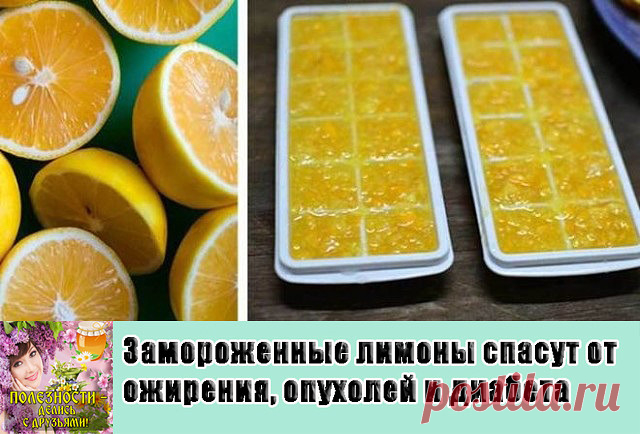 Замороженные лимоны спасут от ожирения, опухолей и диабета!
Лимоны замораживают в основном ради цедры. После размораживания цедра становится более мягкой и ее удобнее употреблять в пищу.
Как и у большинства других фруктов, в кожице лимона сконцентрирован максимум питательных веществ, помогающих регулировать уровень холестерина, укреплять иммунную систему и предотвращать рак. В ней также содержатся антимикробные, антигрибковые и антибактериальные вещества.
Регулярное употре...