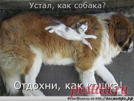 Интересные новости
