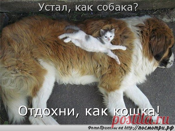 Интересные новости