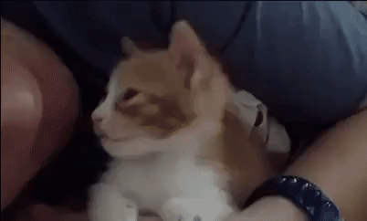 Усыпляющие целовашки